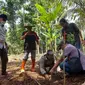 Puluhan warga terdampak pembangunan Bendungan Bener di Jawa Tengah beramai-ramai menanam bibit durian dan alpukat di sabuk hijau Bendungan Bener seluas 84 hektare.