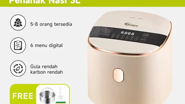 MAIMEITE Rice Cooker Low Carbo 3L