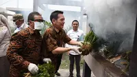 Komisi IV DPR Musnahkan Belasan Ribu Benih Kelapa Sawit