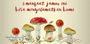 5 Manfaat Jamur yang Bisa Menyelamatkan Bumi