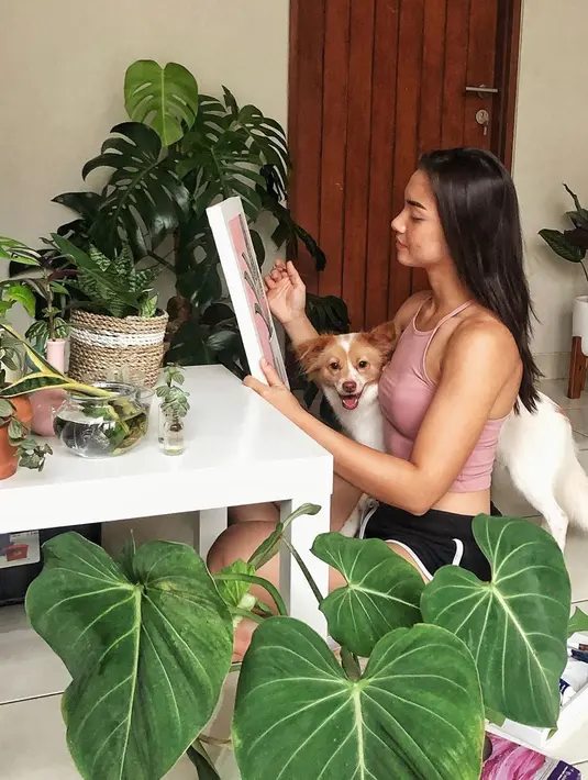 Terlihat dalam akun Instagramnya, perempuan cantik yang satu ini seringkali mengunggah foto-foto bersama tanaman yang memenuhi kediamannya. Angela Gilsha mengakui, kegiatan tersebut sudah digemari sejak kecil. (Instagram/angelagilsha)
