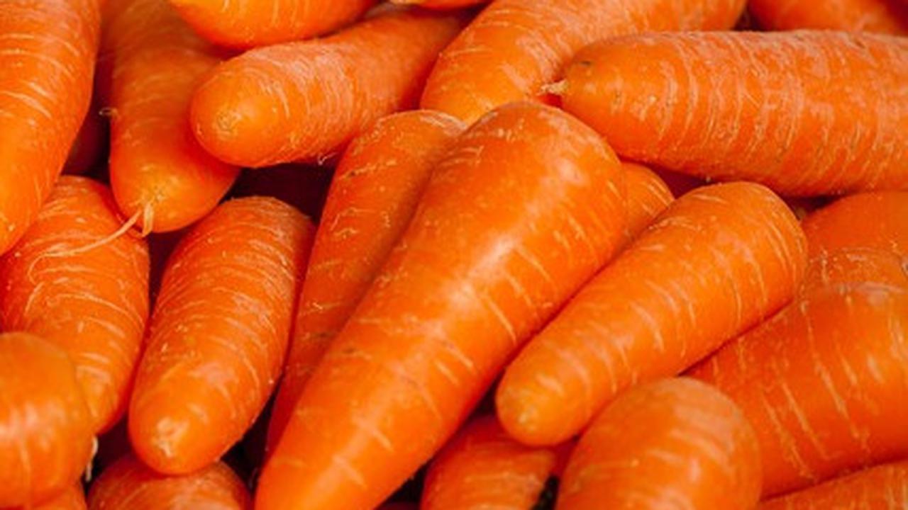 6 Manfaat Wortel untuk Kesuburan Pria, Meningkatkan Kualitas hingga Pergerakan Sperma