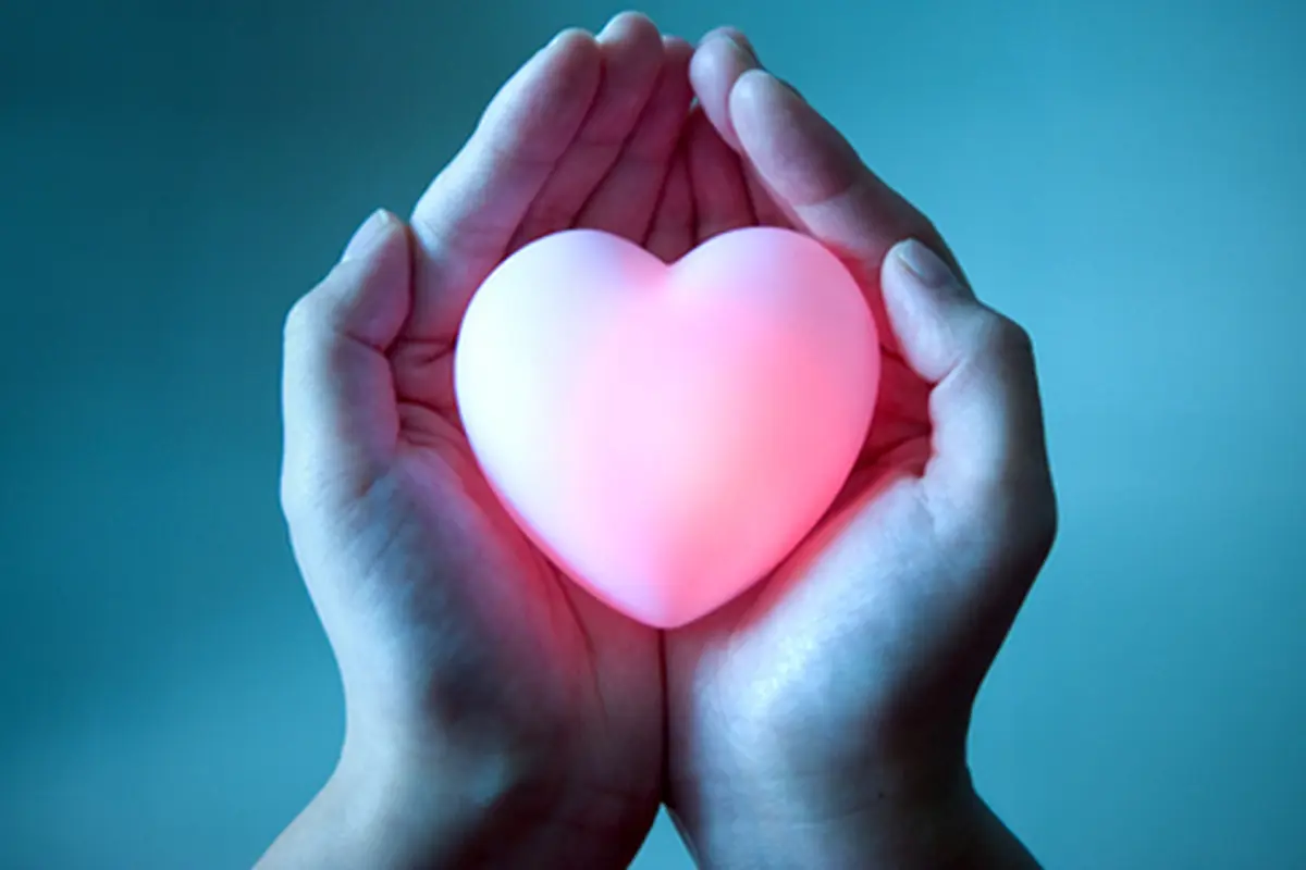 (C) shutterstock