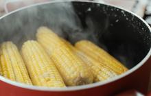 Cara Masak Jagung Manis yang Enak, Manis dan Renyah Tanpa Banyak Bumbu