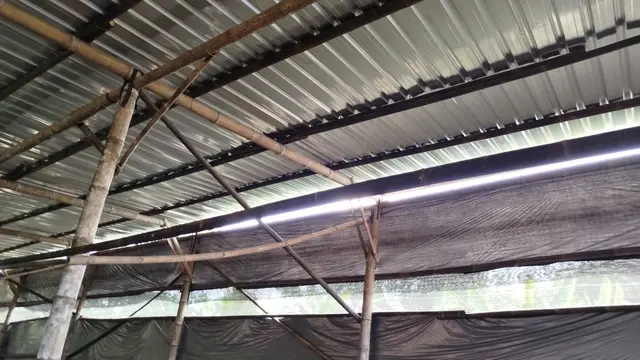 Kumbung Jamur Tiram