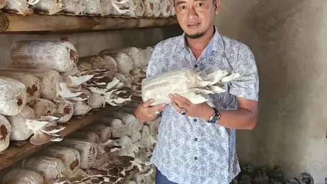 Nana Suryana
