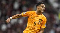 Pemain Belanda, Cody Gakpo merayakan gol pertama timnya ke gawang Qatar saat matchday ketiga Grup A Piala Dunia 2022 yang berlangsung di Stadion Al Bayt, Selasa (29/11/2022). (AP/Moises Castillo)