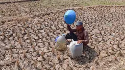 Warga beristirahat saat mengambil air untuk kebutuhan sehari-hari pada kubangan bekas sawah di  kawasan Weninggalih, Jonggol, Jawa Barat, Selasa, 25 Agustus 2026. (KLY/ Arie Basuki)