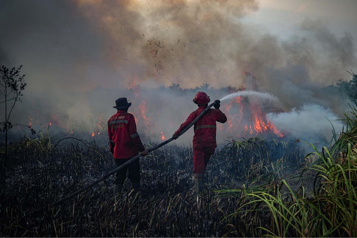 FOTO: Api Lahan Gambut di Ogan Ilir Berhasil Dipadamkan Manggala Agni dan Tim Gabungan