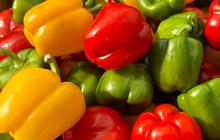 Paprika Matang atau Mentah, Mana yang Lebih Sehat? Ini Cara Menyantapnya dengan Aman dan Lezat