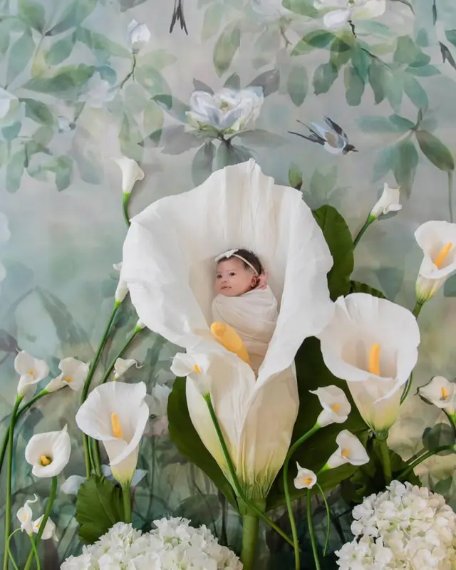 6 Potret bahagia Raffi Ahmad dan Nagita Slavina rayakan ulang tahun pertama Lily