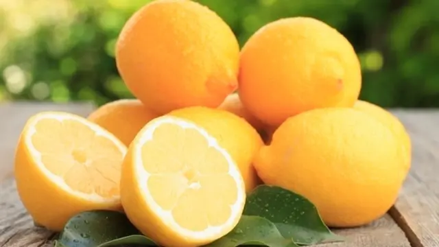 Photo: Copyright Thinkstockphotos.com