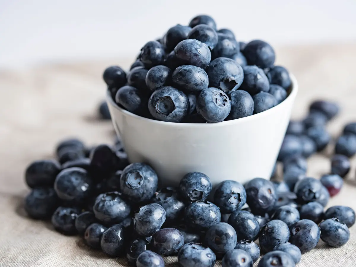 Manfaat Blueberry untuk Kesehatan dan Kecantikan, Cegah