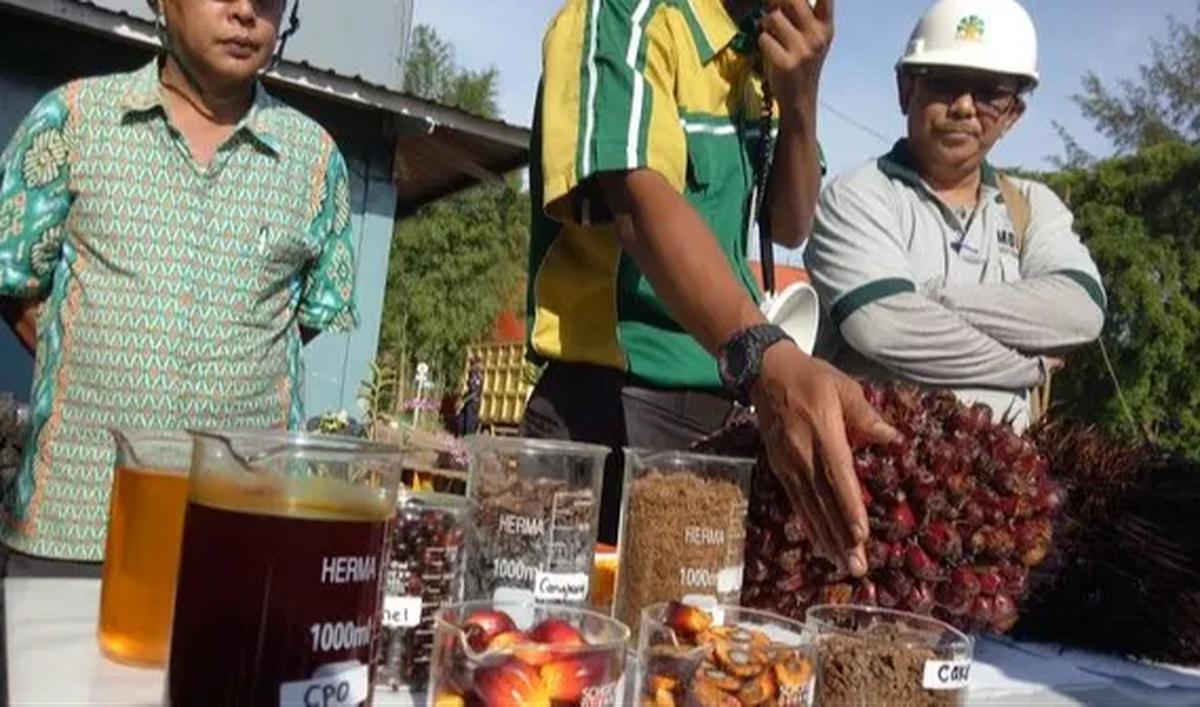 PGN dan PPI juga menggiatkan kerja sama strategis, teknis, dan komersial untuk pengembangan dan pemanfaatan proyek, salah satunya, biometana, yang memiliki prospek positif di masa depan.