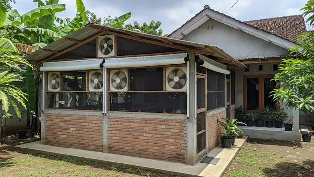 Model Kandang Ayam Tembok Semi Permanen yang Tahan Lama dan Aman Closed Housed