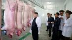 Kim Jong Un memeriksa bangkai babi sebelum diolah saat mengunjungi Peternakan Babi Thaechon di Korea Utara, 23 April 2017. Dalam kunjungan ini, Kim Jong Un didampingi sejumlah pejabat. (AFP /Foto/KCNA VIA KNS/Str)
