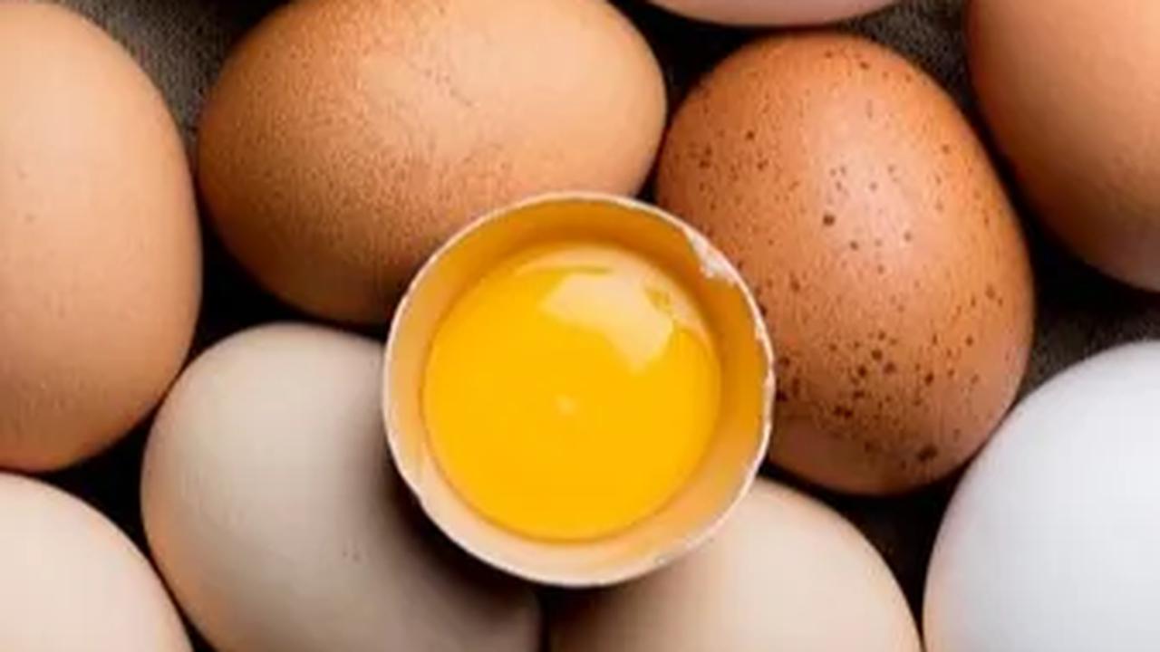 Perbedaan Telur Ayam Omega dan Telur Biasa, Apakah Telur Omega Lebih Sehat?