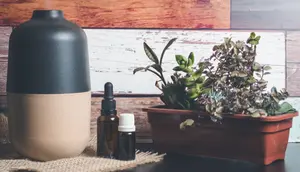 Upgrade Suasana Rumah dengan Diffuser Oil Terbaik yang Wanginya Bikin Betah