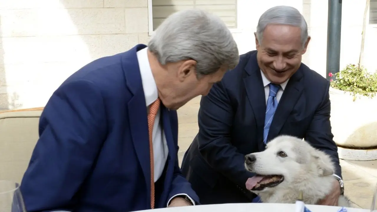 anjing benjamin netanyahu