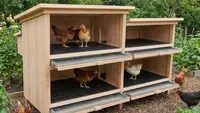 9 Model Kandang Ayam Tingkat Minimalis Mudah Dibersihkan, Inovatif untuk Lahan Terbatas