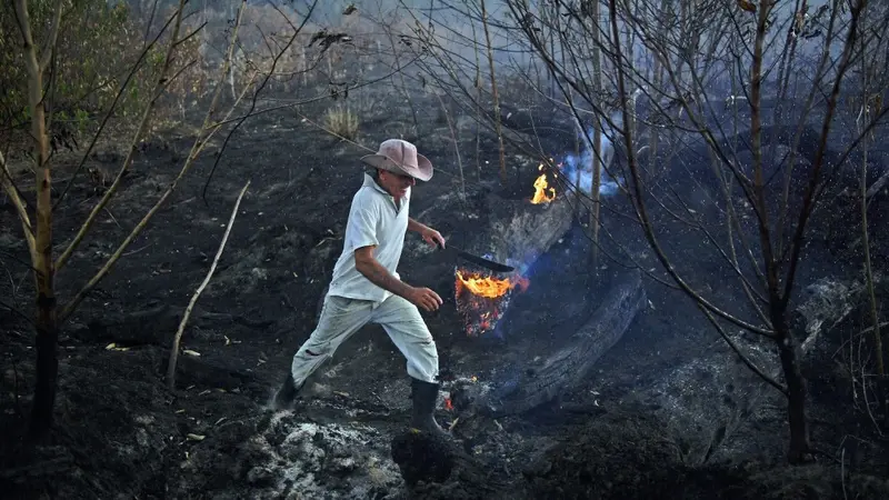 Anggota militer Brasil sedang mengecek bekas kebakaran hutan Amazon (AFP/Carl de Souza)