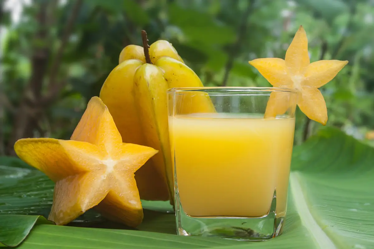 buah belimbing mentimun