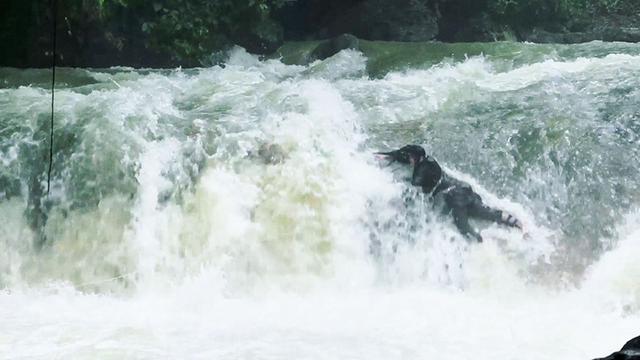 Sinopsis Suzzanna: Santet Dosa di Atas Dosa