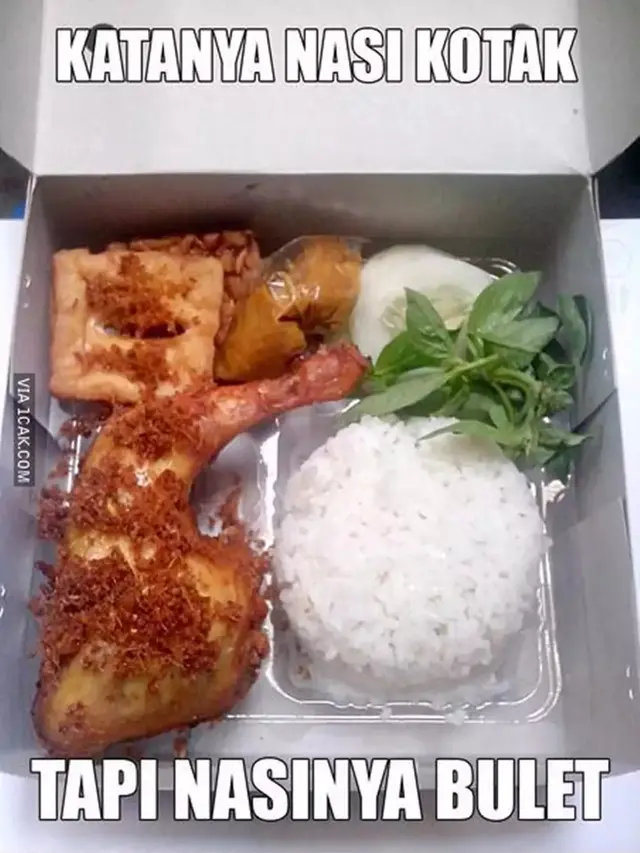 6 Potret Nasi Kotak dengan Lauk Ayam Ini Nyeleneh, Bikin Senyum Tipis