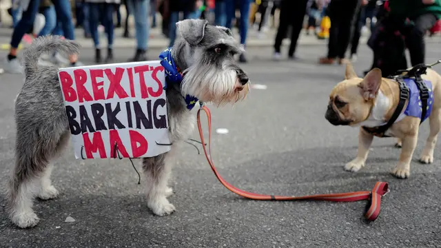 Pawai Wooferendum