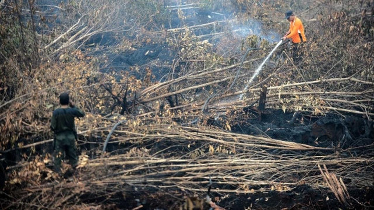 Melihat lebih dekat pemadaman kebakaran hutan Palangkaraya