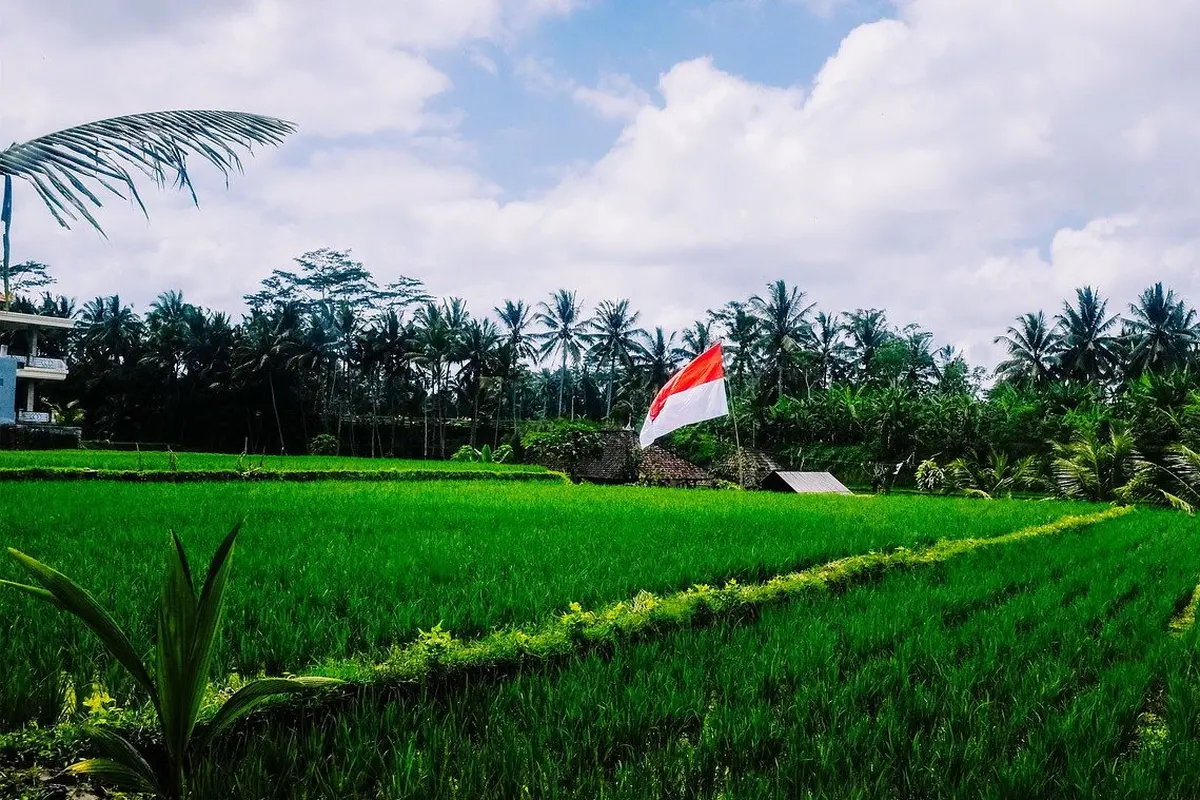 Ilustrasi Bendera Indonesia