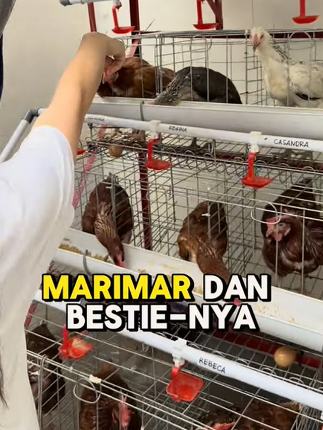 Jevier Justin Shares the Ups and Downs of Being an Egg Entrepreneur