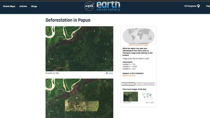 Foto deforestasi di Papua (NASA, USGS, University of Maryland)