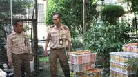 Petugas menggagalkan Penyelundupan 426 burung endemik Kalimantan. (Liputan6.com/Muhammad Ali)