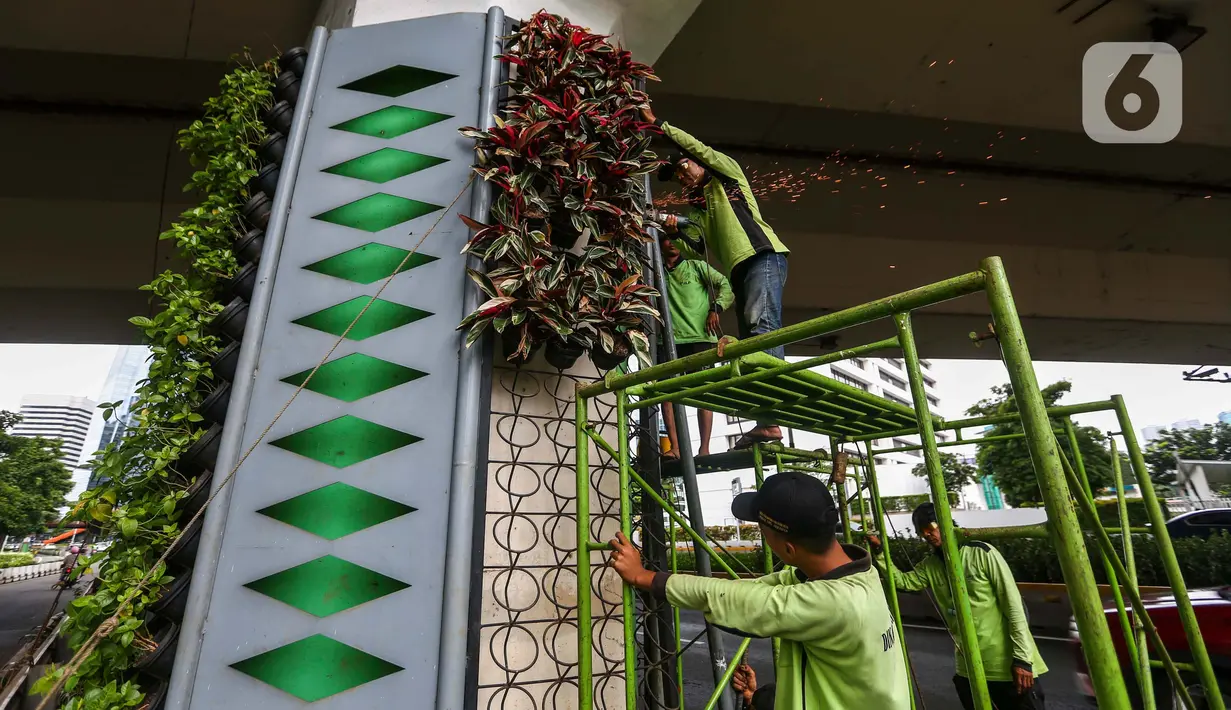 Pekerja dari Dinas Pertamanan dan Hutan Kota DKI Jakarta melakukan perbaikan pada rangka taman vertikal di kawasan Jalan Jenderal Sudirman, Jakarta, Senin (11/3/2024). (Liputan6.com/Angga Yuniar)