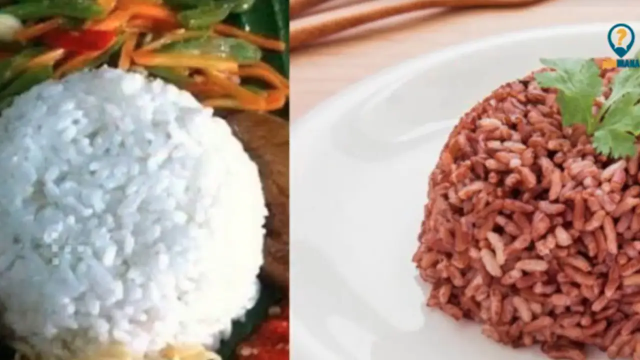 Cara Menurunkan Berat Badan, Pilih Nasi Merah Atau Nasi Putih? sumberfoto: PILIH MANA