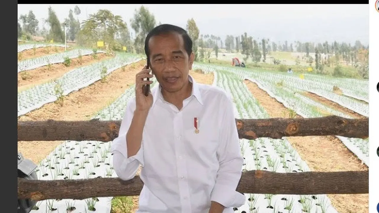 Presiden Jokowi menelfon Menteri Perdagangan soal kebijakan bawang impor