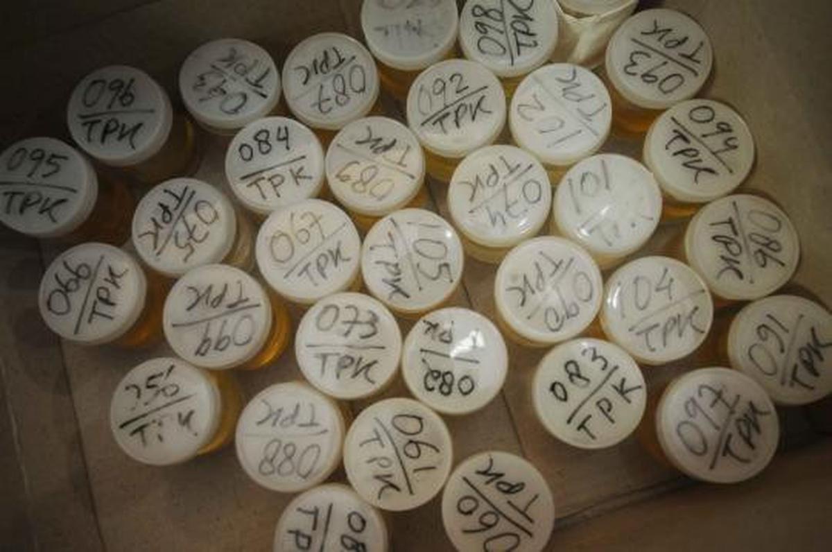 Perangi narkoba, pegawai KPK dites urine