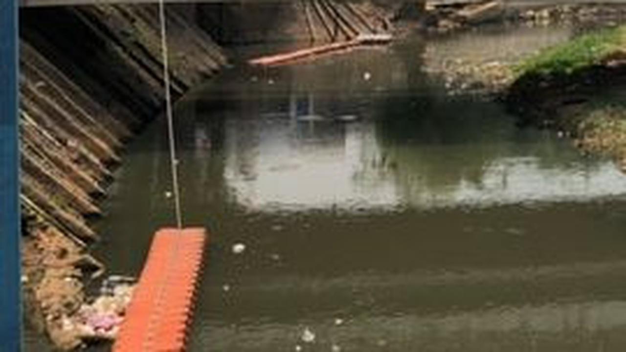Musim Kemarau, Terungkap Ini Para 'Penghuni' Dasar Sungai Ciliwung