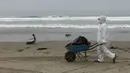 Seorang pekerja kota membawa pelikan mati dengan gerobak dorong di pantai Santa Maria di Lima, Peru, Selasa (29/11/2022). Setidaknya 13.000 pelikan telah mati sejauh ini pada bulan November di Sepanjang Pantai Pasifik Peru akibat flu burung, menurut The National Forest and Wildlife Service (Serfor) pada hari Selasa. (AP Photo/Guadalupe Pardo)