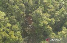 Basarnas Temukan Puing Helikopter Airbus H130 di Hutan Sekadau Kalimantan Barat