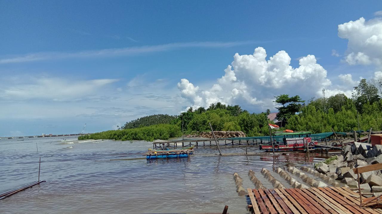 Hamparan Hutan Mangrove di Sungai Limau, Sungai Kunyit, Mempawah, Kalbar. (Liputan6.com/Aceng Mukaram)