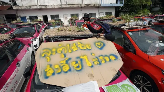 Begini cara sopir taksi Thailand manfaatkan taksinya ditanami tanaman.