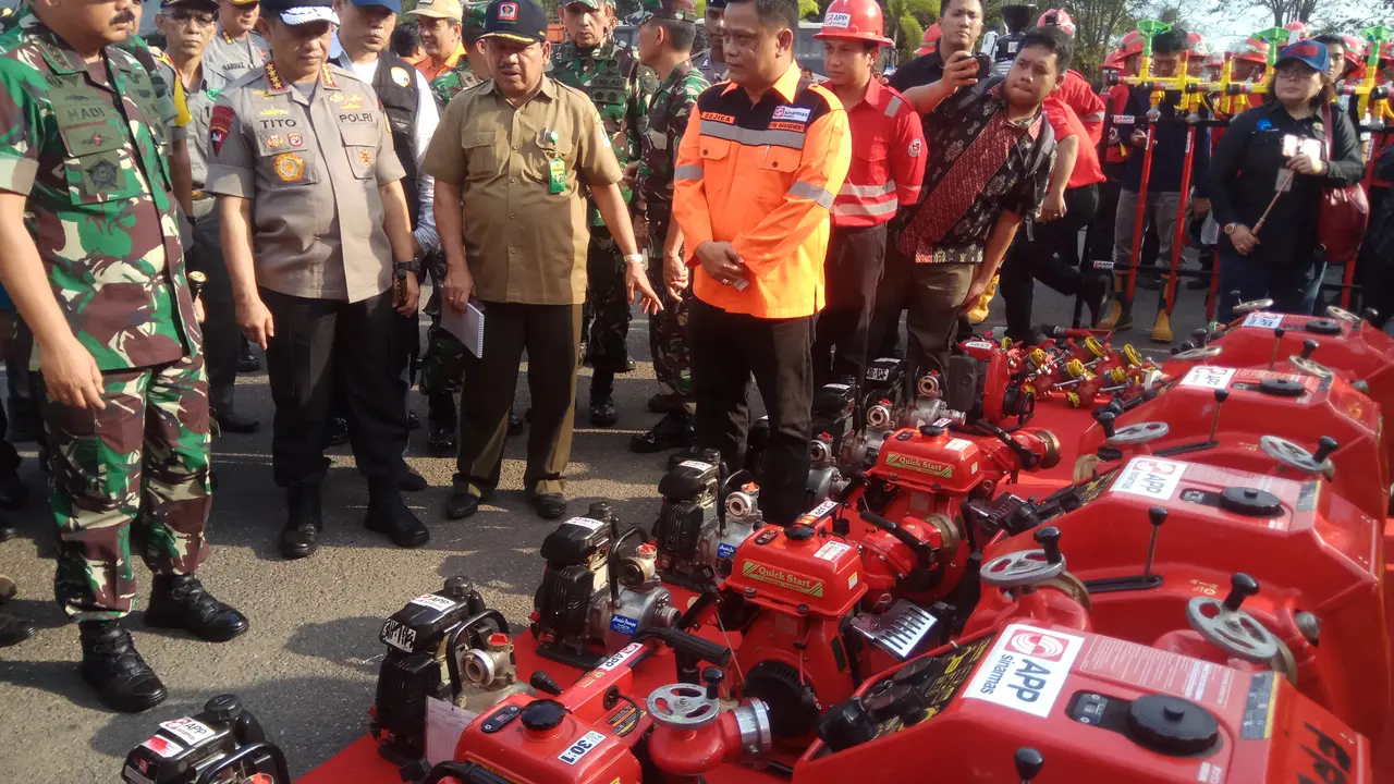 Mirip Paku Bumi, Sambonesia Jadi Penyelamat Kebakaran Hutan di Lahan Gambut