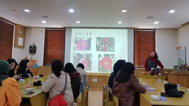Mengunjungi desa camellia di Pulau Jeju