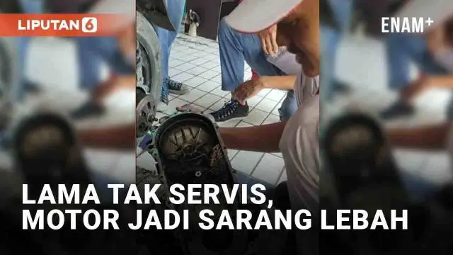 Apa yang anda pikirkan bila motor lama tak terawat?
Tentu akan ada kerusakan mesin dan kotor. Namun yang terjadi pada motor wanita ini di luar dugaan.