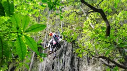 Begitu menuruni gua sedalam 80 meter, pengunjung akan disambut pemandangan menakjubkan: hutan purba yang tumbuh subur di dasar gua. Nuansa lembap, aroma tanah basah, dan sinar matahari yang menembus celah sempit di atas menciptakan suasana magis seolah berada di dunia lain. Di dalamnya, stalaktit dan stalagmit menghiasi dinding serta langit-langit gua, sementara aliran sungai bawah tanah menambah kesan mistis sekaligus menenangkan. Tampak dalam foto, wisatawan saat turun untuk masuk ke dalam Goa Jomblang  di Gunung Kidul, Yogyakarta. (merdeka.com/Arie Basuki)