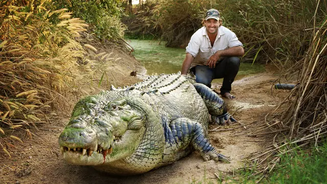 Ikut Selamatkan Buaya Berkalung Ban, Ini 4 Fakta Sosok Presenter National Geographic