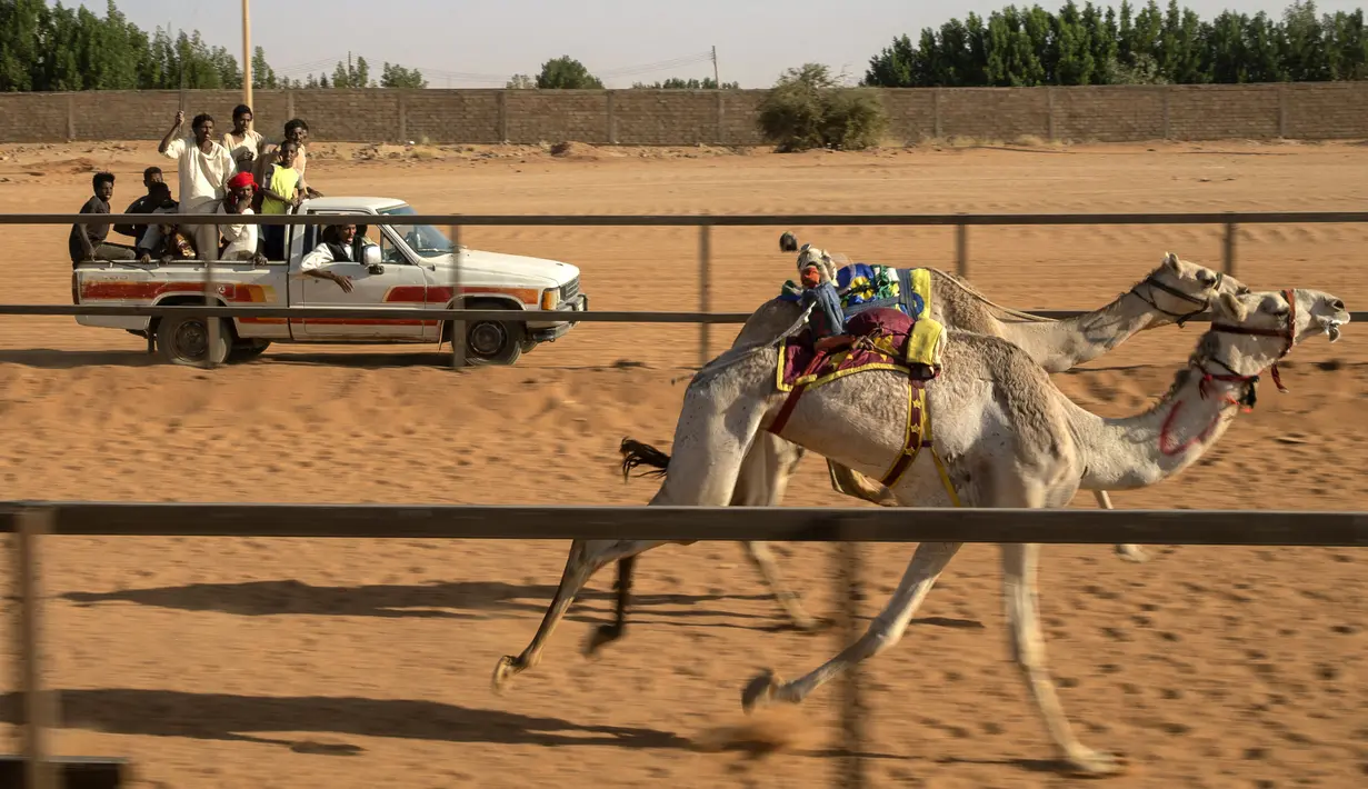 Pemuda Sudan bersorak dari belakang truk saat balapan unta di trek dekat desa al-Ikhlas, barat kota Omdurman, pada 19 Maret 2021. Perlombaan itu diselenggarakan oleh keluarga suku tradisional yang memelihara unta dari desa setempat untuk melestarikan warisan budaya mereka. (ABDULMONAM EASSA/AFP)