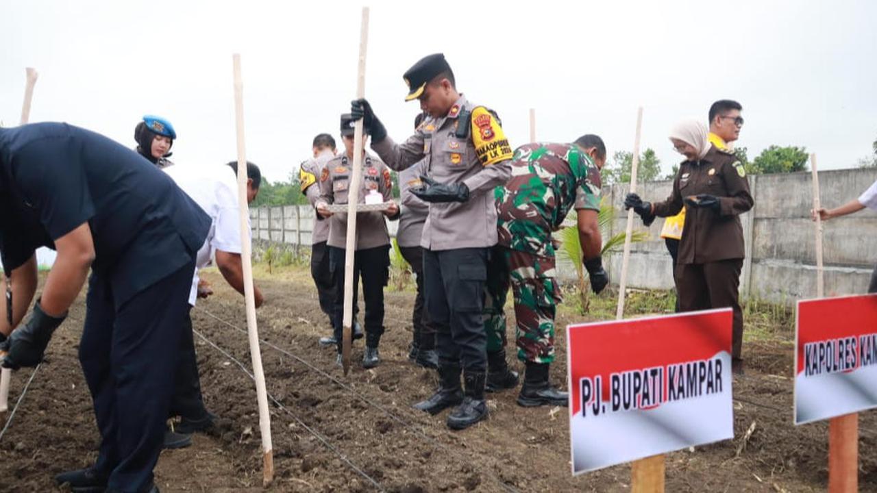 Dukung Asta Cita Prabowo, Lahan Milik Polres Kampar Disulap Jadi Lokasi Ketahanan Pangan